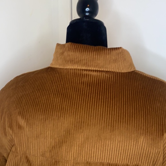 Jacket - Picture 9 of 11